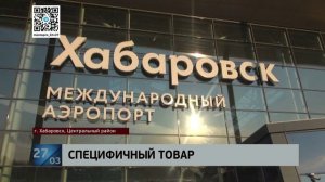 Криминальная экзотика: за оборот краснокнижных кречетов осужден в Хабаровске житель Чукотки