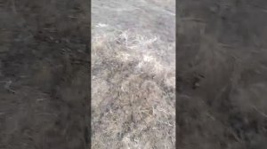 Теплая весна