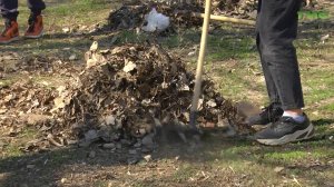 Самарцы могут внести свой вклад в чистоту города