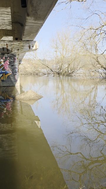 Весеннее половодье. Река Яхрома.