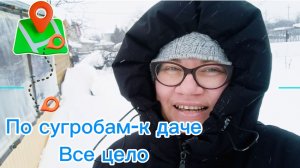 Снег, тишина и ностальгия: как мы навестили дачу зимой