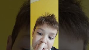 комнатные растения заходи не пожалеешь плюс кот