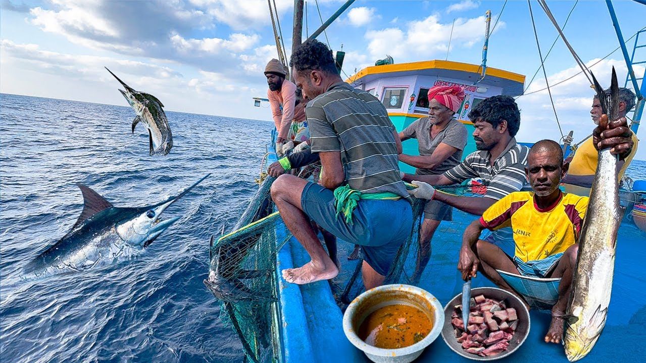Потрясающе🤩 На второй день мы остались в открытом море и поймали много тунца