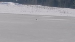 ЖЕРЛИЦА СТОИТ КОСТЕР ГОРИТ