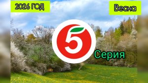 ВЕСНА 5 СЕРИЯ 2026 ГОД „ГУЛЯНКА ПО  Д.ПЛОЩАДОК"