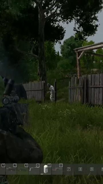 Zareydil Saray Pod Tisami #dayz #дейз #ksmn #dayzshorts