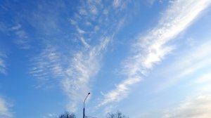 ИМПРОВИЗАЦИЯ В СТИЛЕ РОК 1. #музыка #топкатегории