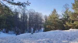 Работаю на двух работах, но весь в долгах...