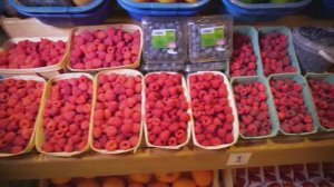 ДЕНЬ ЗДОРОВЬЯ