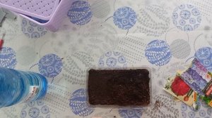 дела домашние