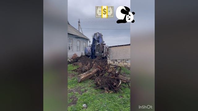 25 03 2026 СР. МАРТ.