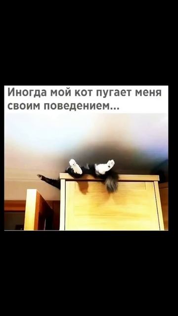 Лютые мемы. Паровозик Томас сзади