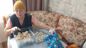 Вот это яйца //гостинцы // домашние дела //