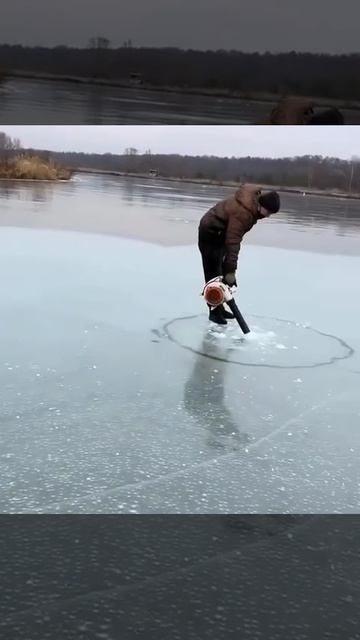 Наживка для рыбы