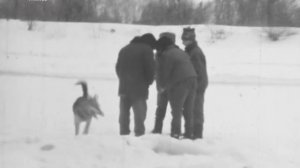 КТО ХОЗЯИН ВО ДВОРЕ