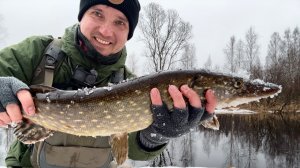 Март. Малая река. Ловля щуки перед нерестом.