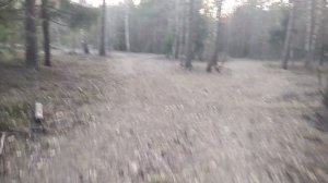 Топливо для дымаря.