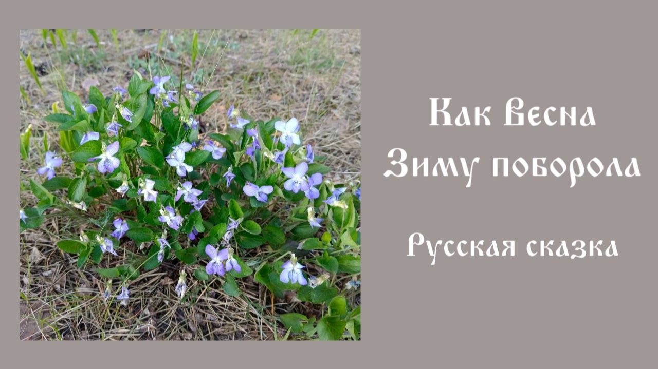 Как Весна Зиму поборола