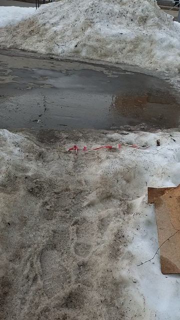 №1896 Двор П. Осипенко 48. 25 марта 2026 г., 17:54:40 VID_20260325_175341492