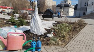 Весенняя обработка сада медным купоросом.26 марта 2026.