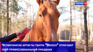 Четвероногие артисты из конно-драматического театра "Велесо" отмечают свой профессиональный праздник
