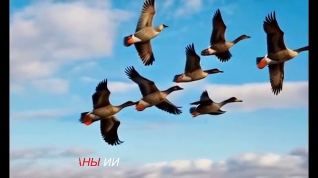 ПРИШЛА ВЕСНА     ...МУЗЫКА СОЗДАНА ИИ