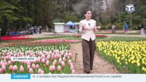 Хаберлер (на русском языке)27.03.26