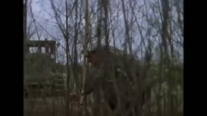 ЭТУ ПЕСНЮ ЖЕКИ ВЫ ТОЧНО НИКОГДА НЕ СЛЫШАЛИ !!!