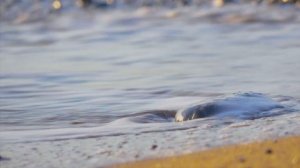 Наболевшее