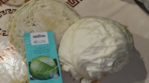 Капуста,которая долго хранится