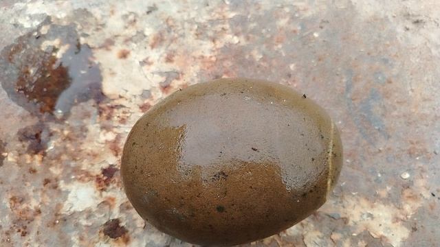 Чудо природы??? Серия 1