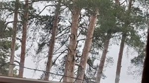 ПЛЕВАТЬ НА ДД, ПОГОВОРИМ О ХОРОШЕМ