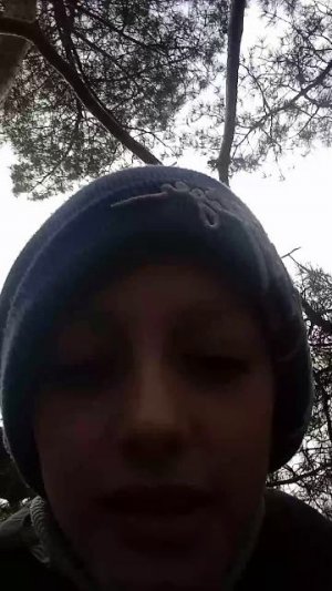 Я на дереве.