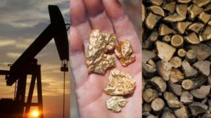 В Европе передрались за российские энергоресурсы и на коленях уже ползут в Россию.