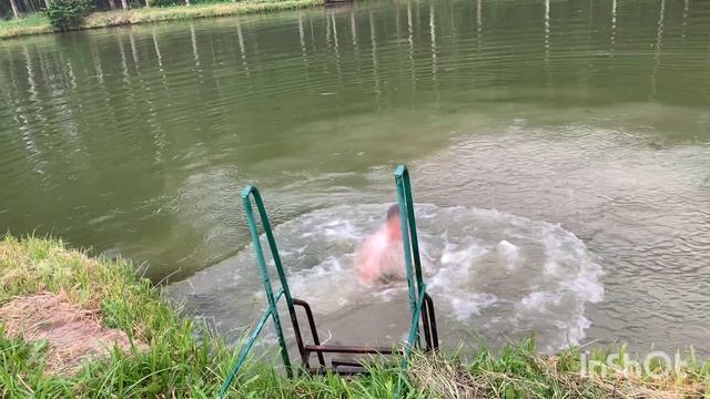 три товарища, дача, пруд. лето 2019