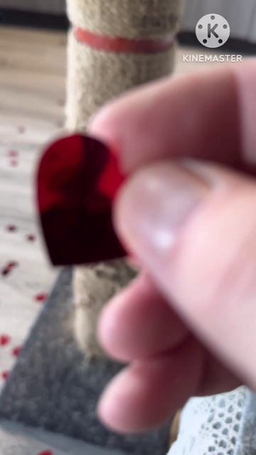 Любим поиграть кот и игра