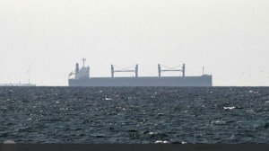 В Совфеде оценили решение Ирана по проходу судов РФ через Ормузский пролив