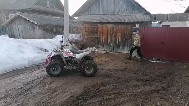 КВАДРОЦИКЛ Hammer 250 смотреть онлайн