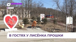 «Лисий уголок» стал четвёртым проектом, который реализовал ТОС «Зелёный экипажный на Русском»