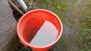 Природа 🌿🍃Огородик! Болею! Пенсия не положена со средней астмой! Юга России🌴!