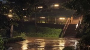 Дождливая ночь 🌧️ расслабляющий звук дождя для сна и отдыха