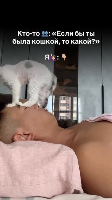 Такая вот кЫска