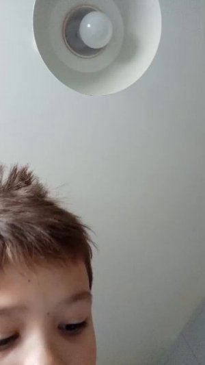 комнатное растение 3