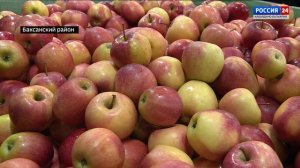 ВЕСТИ. РОССИЯ 24 – 2026.03.26