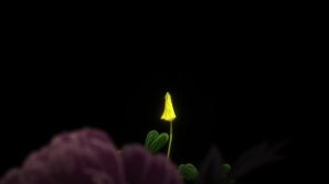 Опеннинг Монолог фармацевта 1 сезон