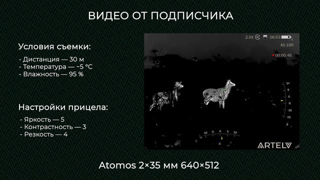 Как видит оленей тепловизор для охоты ATOMOS 2×35 мм 640×512?