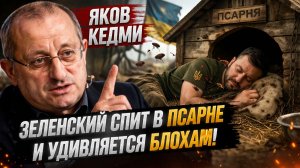 Яков Кедми Переговоры США и Ирана. ЛОХ ЗЕЛЕНСКИЙ