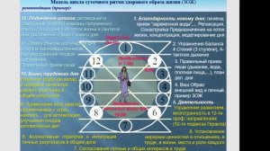 Моделирование суточного ЗОЖ  полноты жизни