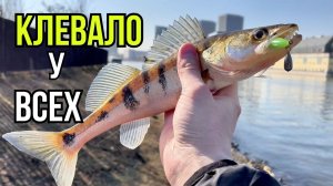 Ультралайт на Москва-реке: спасаемся от паводка в центре города