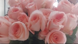 ПРОКАТИЛАСЬ 🤔 ДУРНАЯ 🫩СЛАВА💯 ❗ЧТО ПОХАБНИК☝️ Я И СКАНДАЛИСТ☝️ И СПЛЕТНИЦА.Н-ДА😯❗❗❗🪻🪻🪻